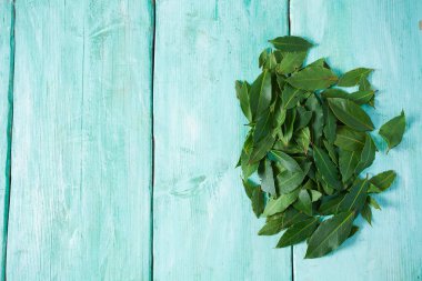 taze defne yaprağı aldı