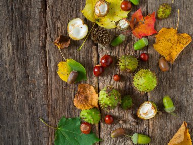 Ahşap kırsal masada meşe palamudu ve kestane