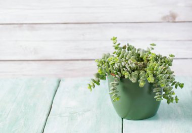 ahşap yüzey üzerinde güzel etli