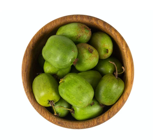 Actinidia Geïsoleerd Wit — Stockfoto