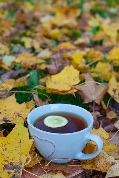 一杯のお茶と秋の紅葉 — ストック写真