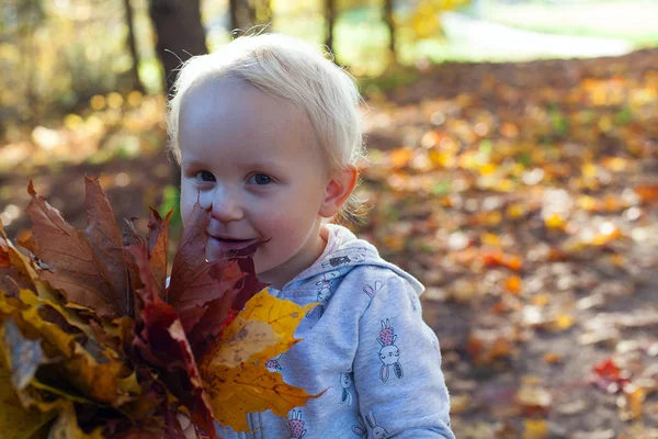 Симпатичная Маленькая Девочка Осенью — стоковое фото