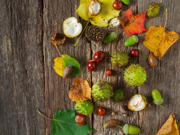 Ahşap kırsal masada meşe palamudu ve kestane