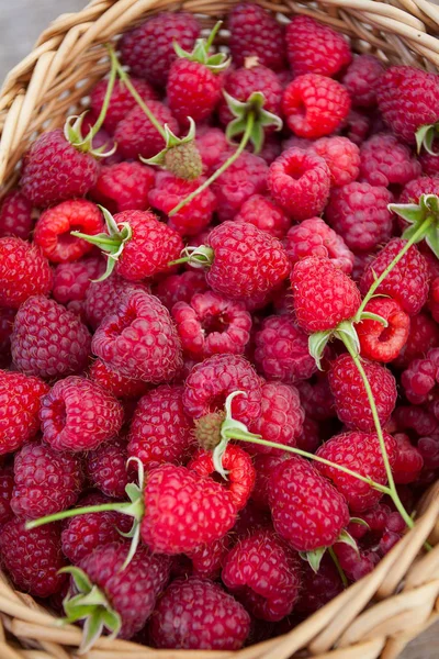 Framboises Fraîches Dans Panier — Photo