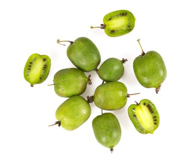 beyaz izole actinidia