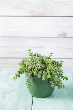 ahşap yüzey üzerinde güzel etli