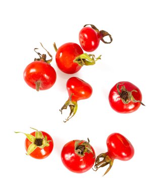 Beyaz bir arkaplanda gül kalça izole