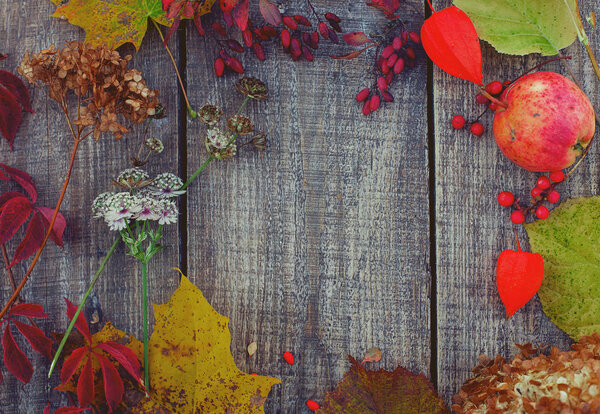 autumn leaves, berries and flowers