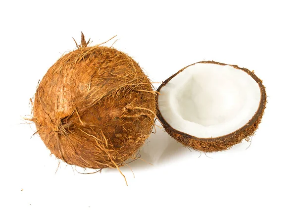 白に隔離されたココナッツ — ストック写真
