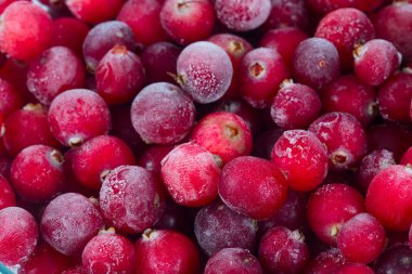 donmuş kızılcık yakın çekim