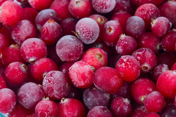 donmuş kızılcık yakın çekim