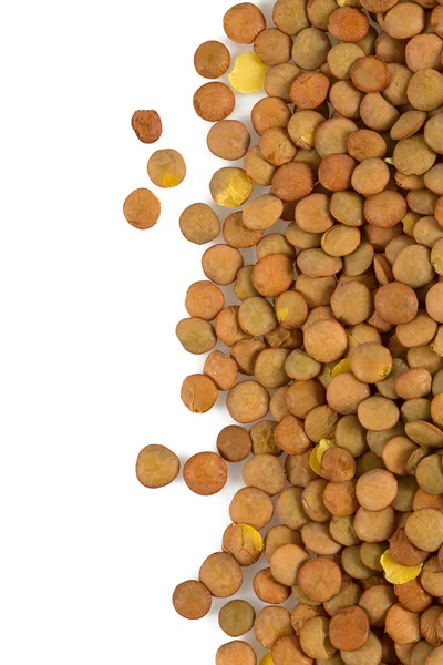 白で隔離されるレンズ豆 — ストック写真