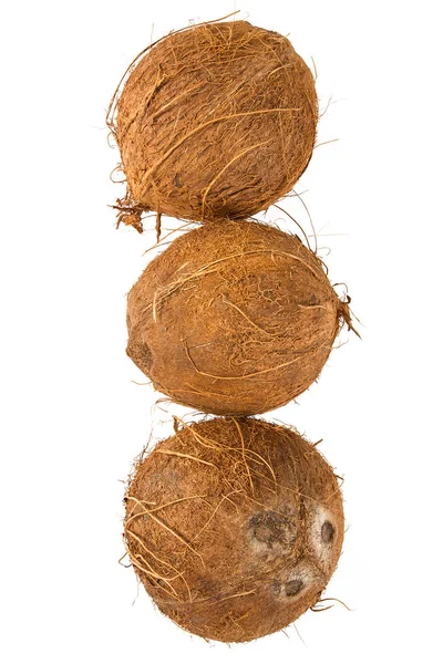 Kokosnüsse Isoliert Auf Weiß — Stockfoto