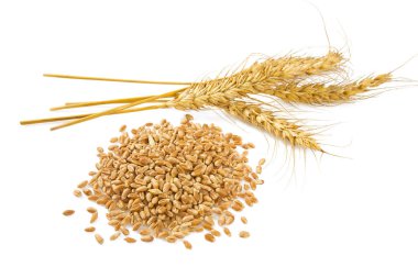 Beyaz tahıl ve arpa isoalted kulaklar