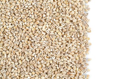 pearl barley isolated on white backrgound clipart