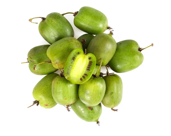 Aktinidia Terisolasi Warna Putih — Stok Foto