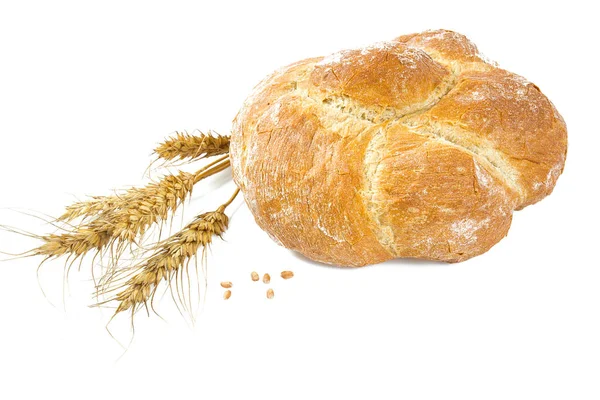 Vers Brood Geïsoleerd Witte Achtergrond — Stockfoto