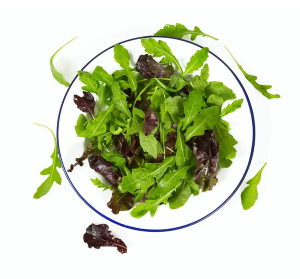 Salad Leafs Plate — Stock Photo, Image