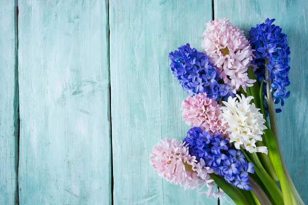Vackra Hyacinth Blomma Turkos Träytan — Stockfoto