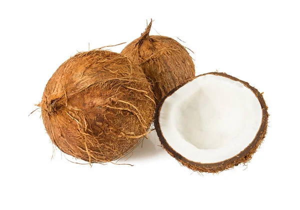 Coconut Isolated White — Stock Photo, Image