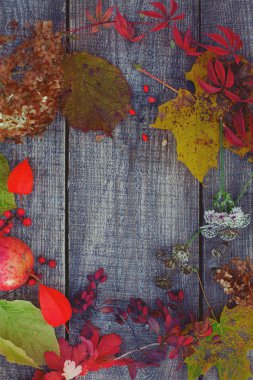 sonbahar yaprakları, meyveler ve çiçekler