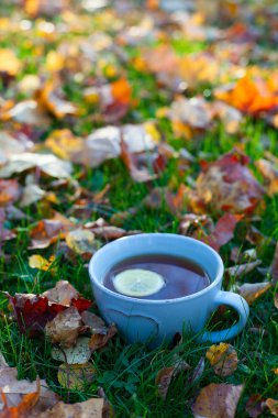 Çay ve sonbahar yaprakları
