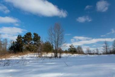 Güneşli bir günde kış manzarası