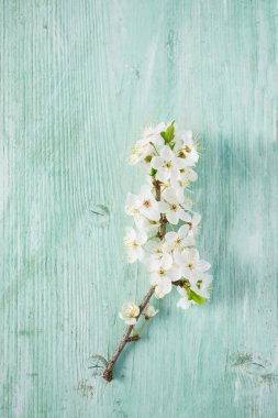 ahşap yüzeyde bahar çiçekleri