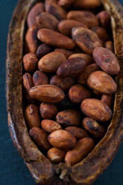 kakao çekirdeği bir tablo