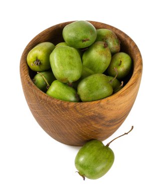 beyaz izole actinidia