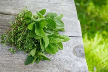 Tahta yüzeyde taze bitkiler