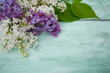 Liac turkuaz ahşap yüzey üzerinde