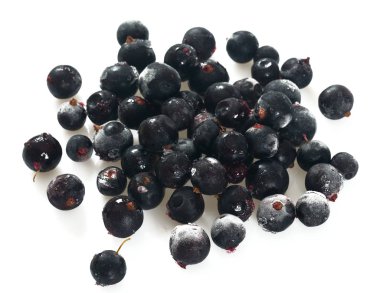 Beyaz donmuş siyah frenk üzümü