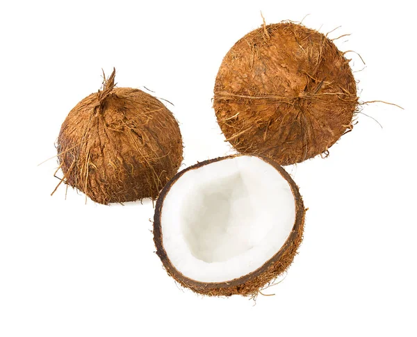 Cocco Isolato Bianco — Foto Stock