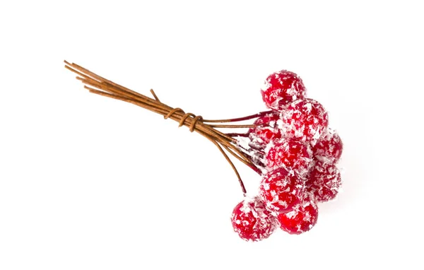 Christmas Decoration Red Berries — Stock Photo, Image