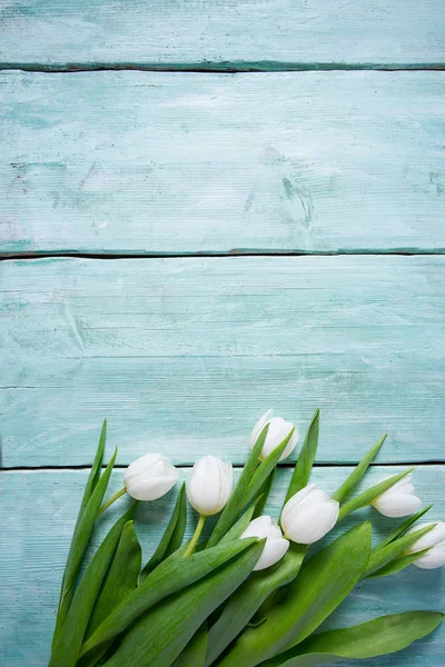 Weiße Tulpen Auf Türkisfarbener Oberfläche — Stockfoto