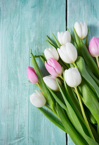 pink and white tulips on turquoise wooden surface