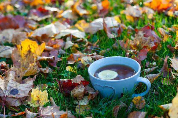 Çay ve sonbahar yaprakları