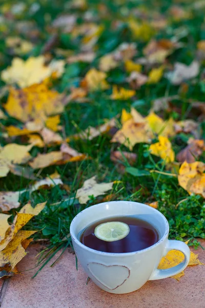 Tee Und Herbstblätter — Stockfoto