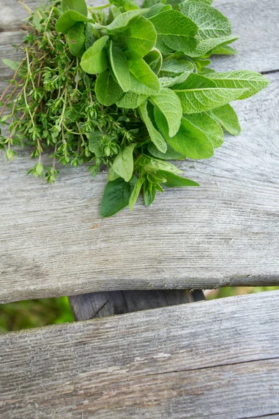 Tahta yüzeyde taze bitkiler