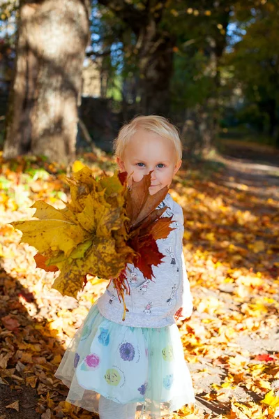 Мила Маленька Дівчинка Восени — стокове фото
