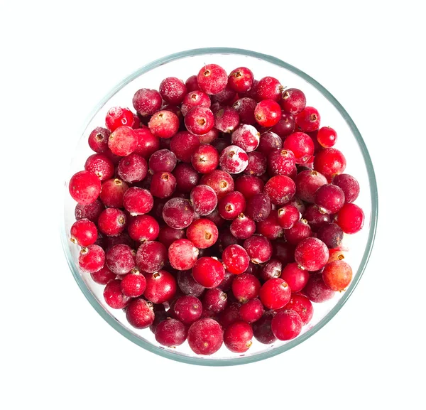 Frozen Cranberries Isolated White — Stock Photo, Image