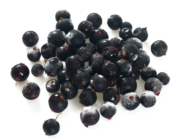 Beyaz donmuş siyah frenk üzümü