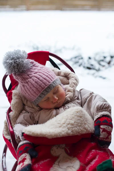 Cute Girl Sleeping Sledges — Stock Photo, Image