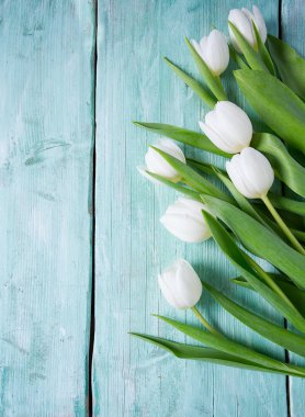 Turkuaz yüzeyi Beyaz Laleler