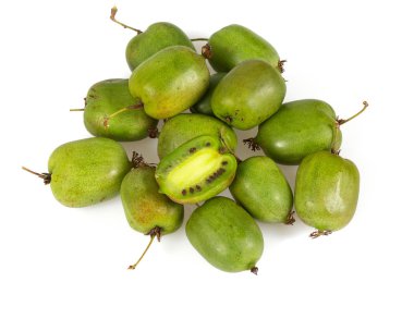 beyaz izole actinidia