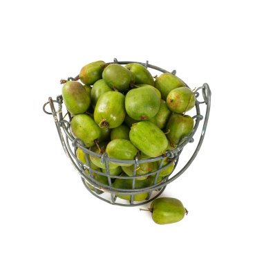 beyaz izole actinidia