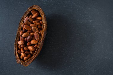 Tahta masada kakao çekirdeği.