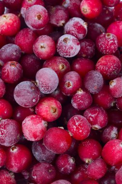 donmuş kızılcık yakın çekim