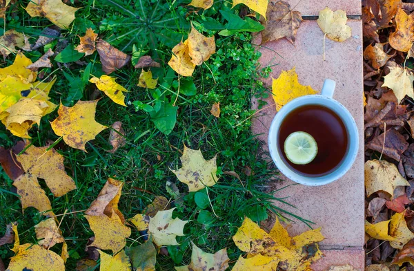 Tee Und Herbstblätter — Stockfoto